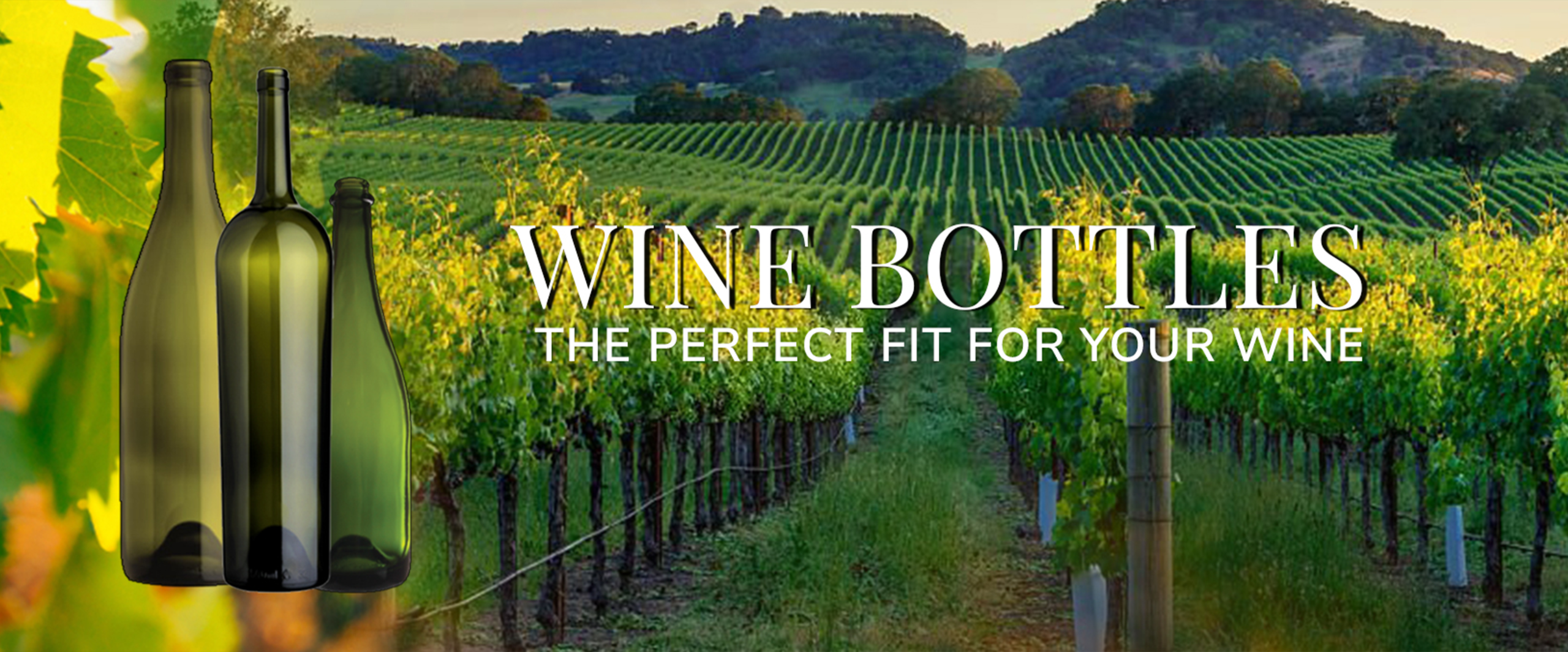 World Wine Bottle & Packaging Solutions